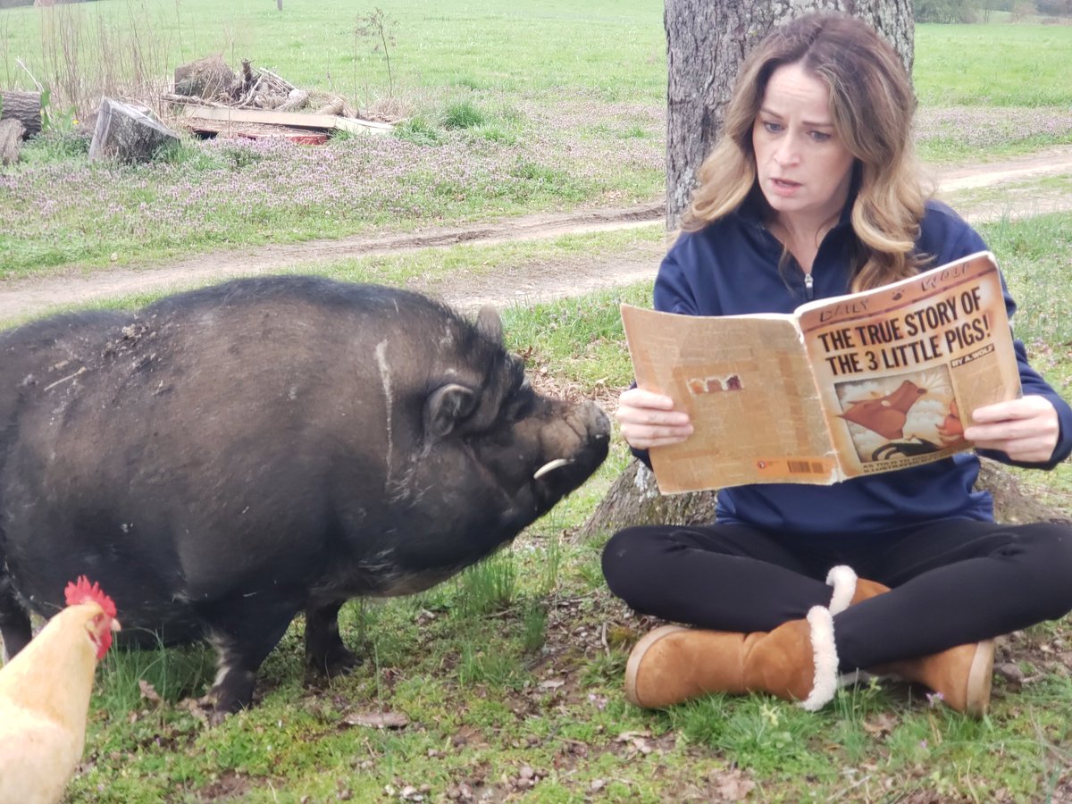 HeatherTalton1's tweet photo. Chris P Bacon could not resist hearing The True Story of the 3 Little Pigs! #wcbemore https://t.co/bHMnzUA9mD