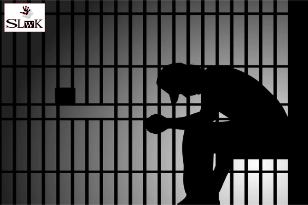 SurviveLifewKid's tweet photo. A Suburban Father Narrowly Escapes a Prison Sentence.
SLwK The pulse of Parenthood https://t.co/YlsKaHaKcT https://t.co/GV4DQoZDyu
