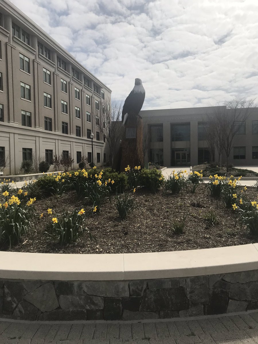 FantaAwNAFSA's tweet photo. In the midst of the COVID-19 activities, decided to seek some peace and tranquility. Went for a long walk on campus. Look what I found. A reminder to all to stop even for a brief moment and take a deep breath! Serenity is much needed! @AmericanU https://t.co/HMUaj2RdJb