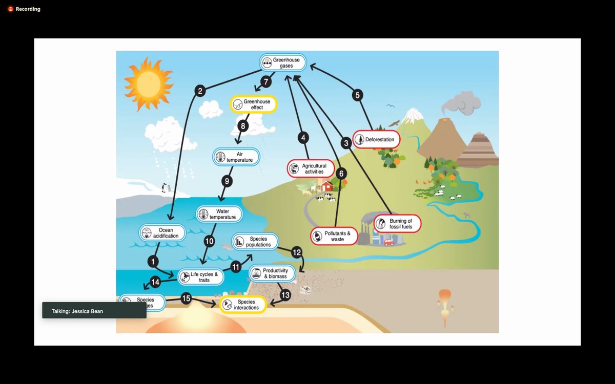 geoscigurl's tweet photo. Making learning visible with @BIOINTERACTIVE @ClimateLit by constructing models with Understanding Global Climate Change. #OnlineLearning #SystemsThinking #ClimateEducation https://t.co/QbtB10meu1