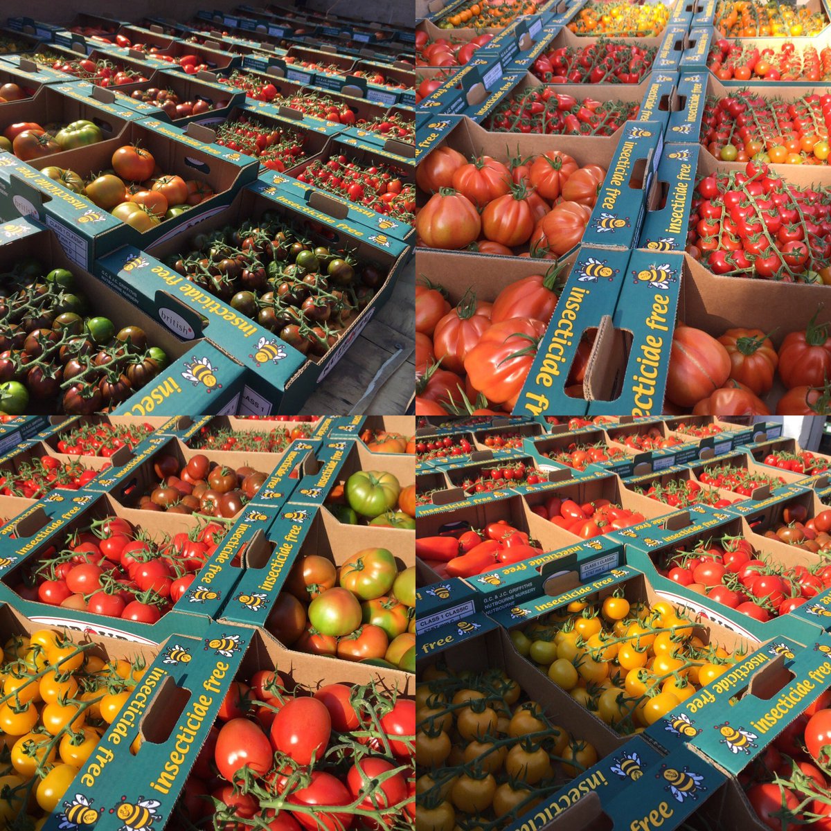 Best of British food, one of the super foods, full of antioxidants, eat healthy boost immune system ⁦⁩ #britishgrowers #britishfarmers Charlie’s Farm Shop, chefs farms, ⁦<a href="/CratesLocal/">Crates Local</a>⁩ ⁦<a href="/countrymaninn/">The Countryman Inn</a>⁩ ⁦<a href="/finandfarm/">Fin and Farm</a>⁩ Dyke Farm Shop #shoplocal