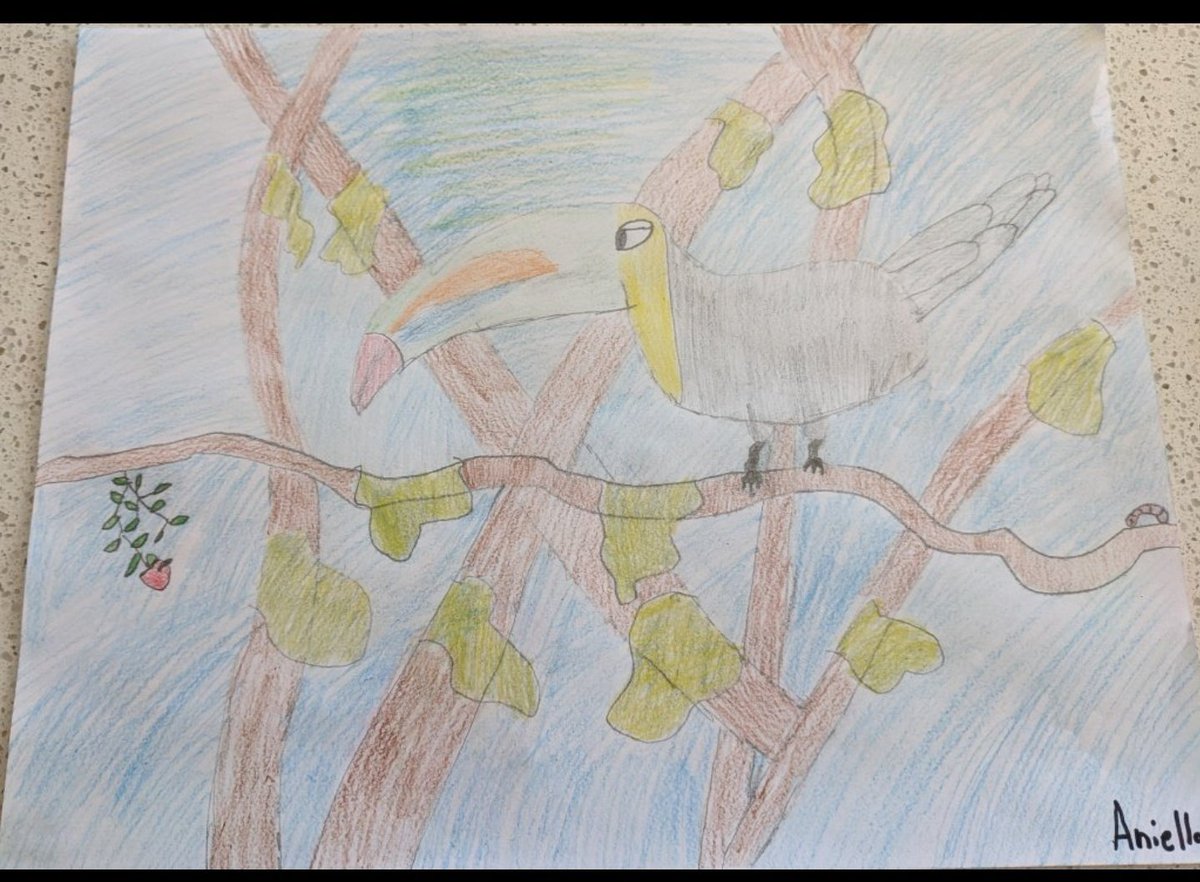 CEColeArt's tweet image. March 18th- Something that flies #coledrawingchallenge #muhlpride #cecoleart