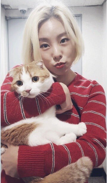 as we are talking about these two,both of them have catsjooheon's babies yoshi and gucciwheein's baby ggomo