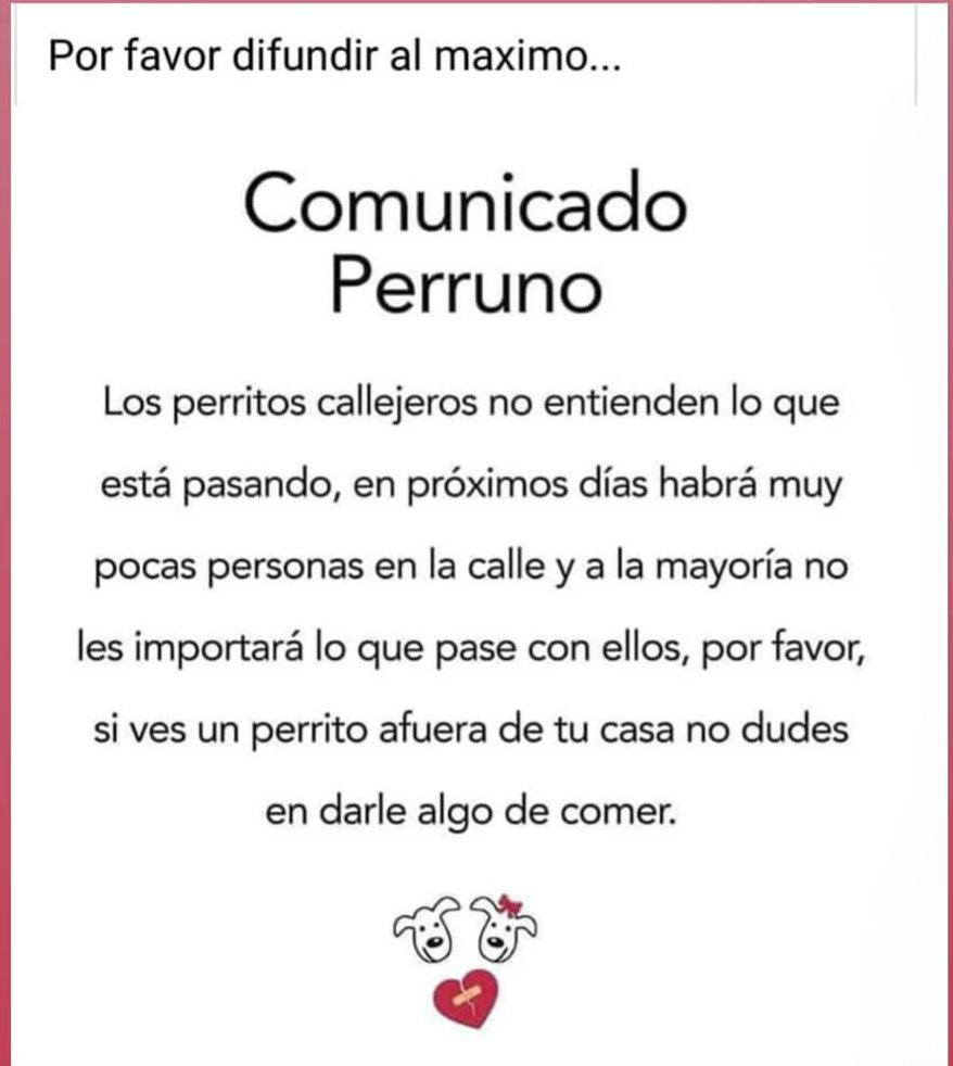 JMilei's tweet photo. Por favor RT https://t.co/UM7Ij4dIKH