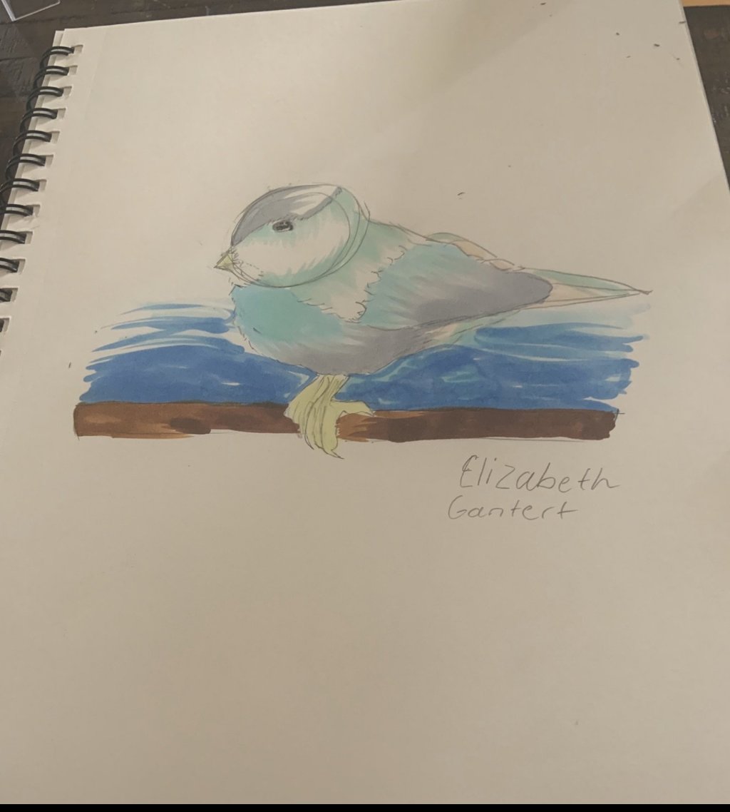 CEColeArt's tweet image. March 18th- Something that flies #coledrawingchallenge #muhlpride #cecoleart