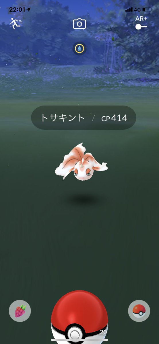 さくら ひなこ 昨日の夜getした金魚 ポケモンgo