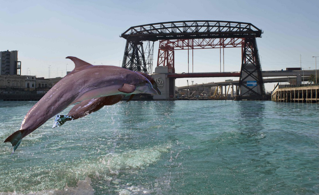 Hare_cristian's tweet photo. El mundo se toma un respiro y en el Riachuelo de Buenos Aires vuelve el agua cristalina y los delfines. https://t.co/IUMlGpWjBX