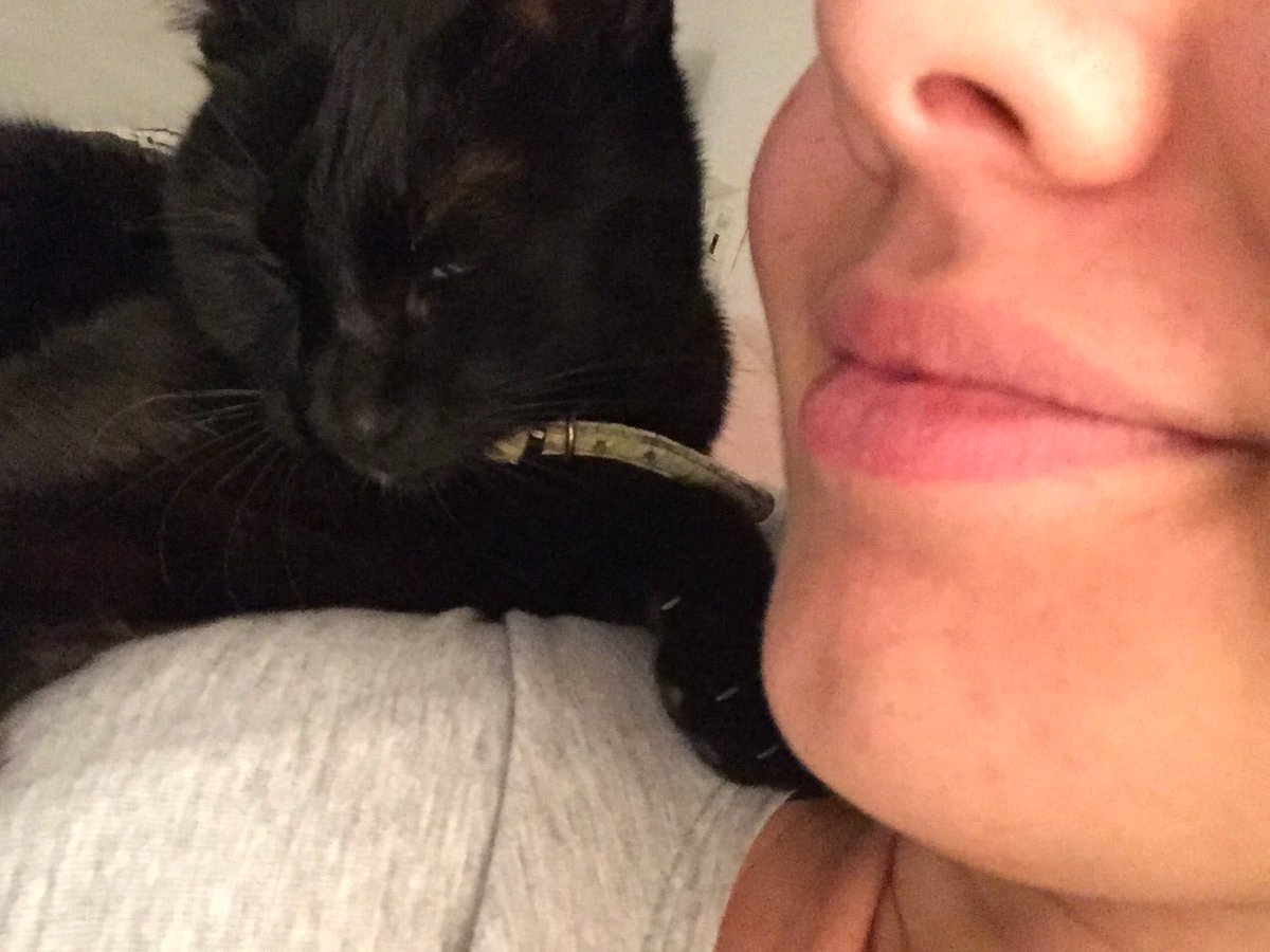 albamadi1's tweet photo. para que no se vuelva a ir hoy duerme conmigo #puchi #catlove #cairobi #castigado https://t.co/6kEyqio7ey