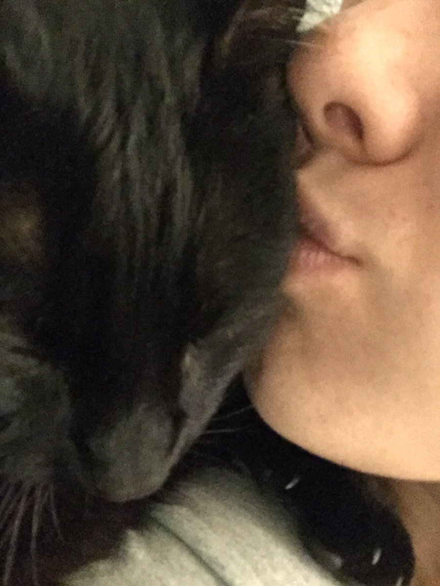 albamadi1's tweet photo. para que no se vuelva a ir hoy duerme conmigo #puchi #catlove #cairobi #castigado https://t.co/6kEyqio7ey