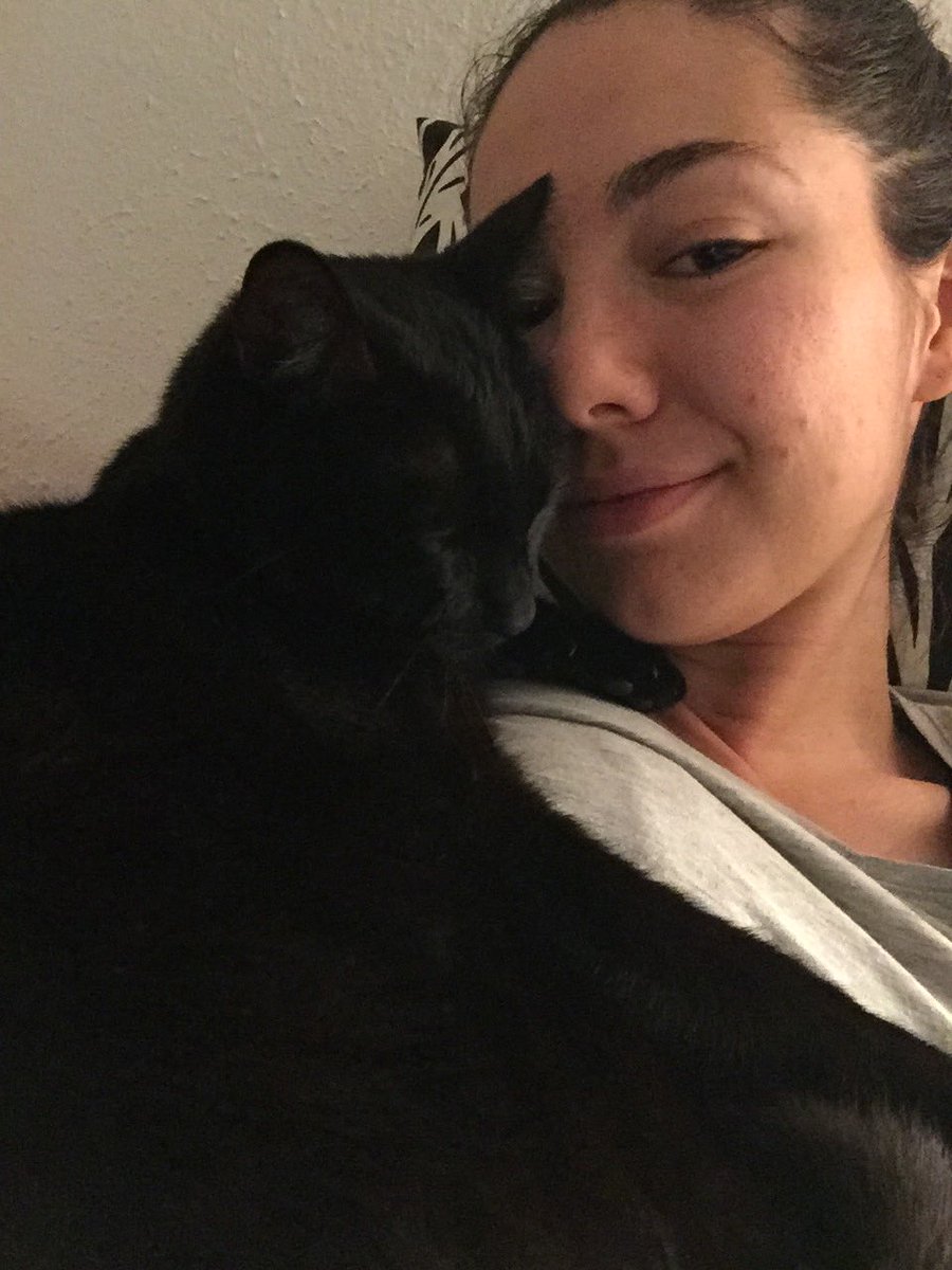 albamadi1's tweet photo. para que no se vuelva a ir hoy duerme conmigo #puchi #catlove #cairobi #castigado https://t.co/6kEyqio7ey