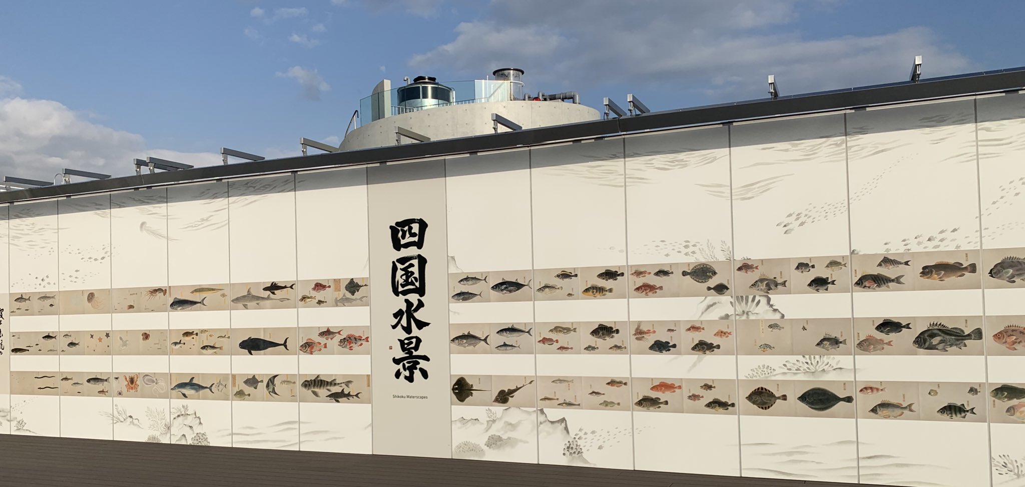四国水族館 【公式】 on X: 