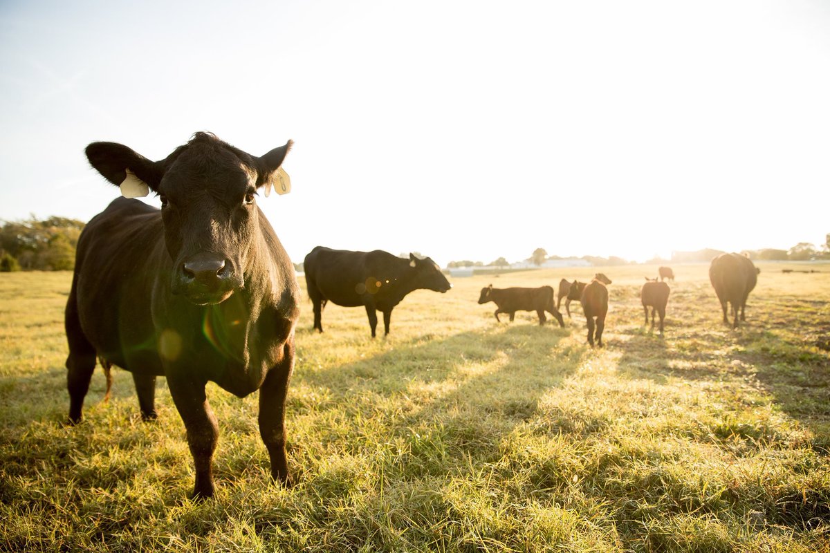 Keith Carver tweet media