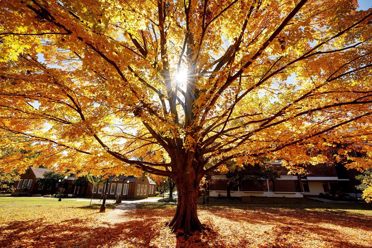 Keith Carver tweet media