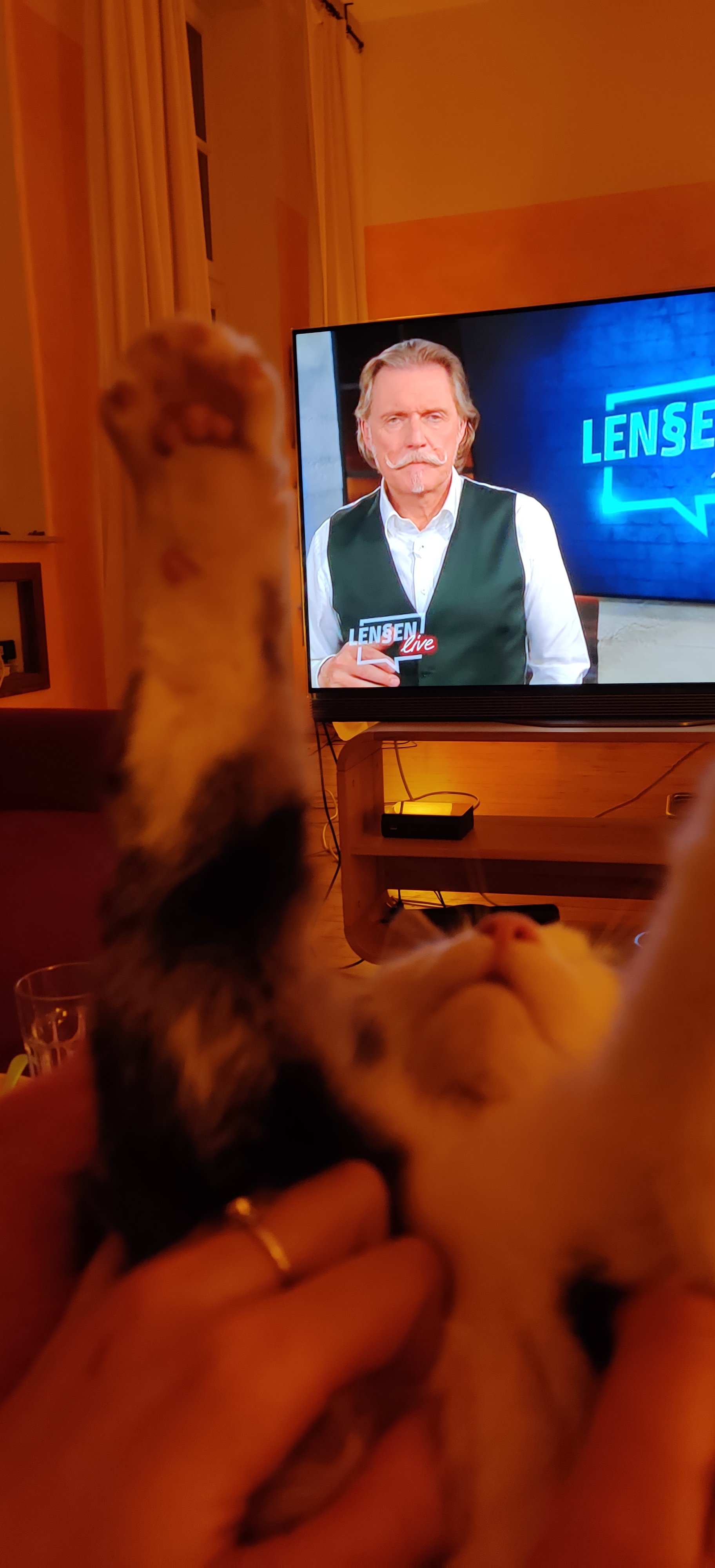 Lasse Brormann (lasse_brormann) / Twitter