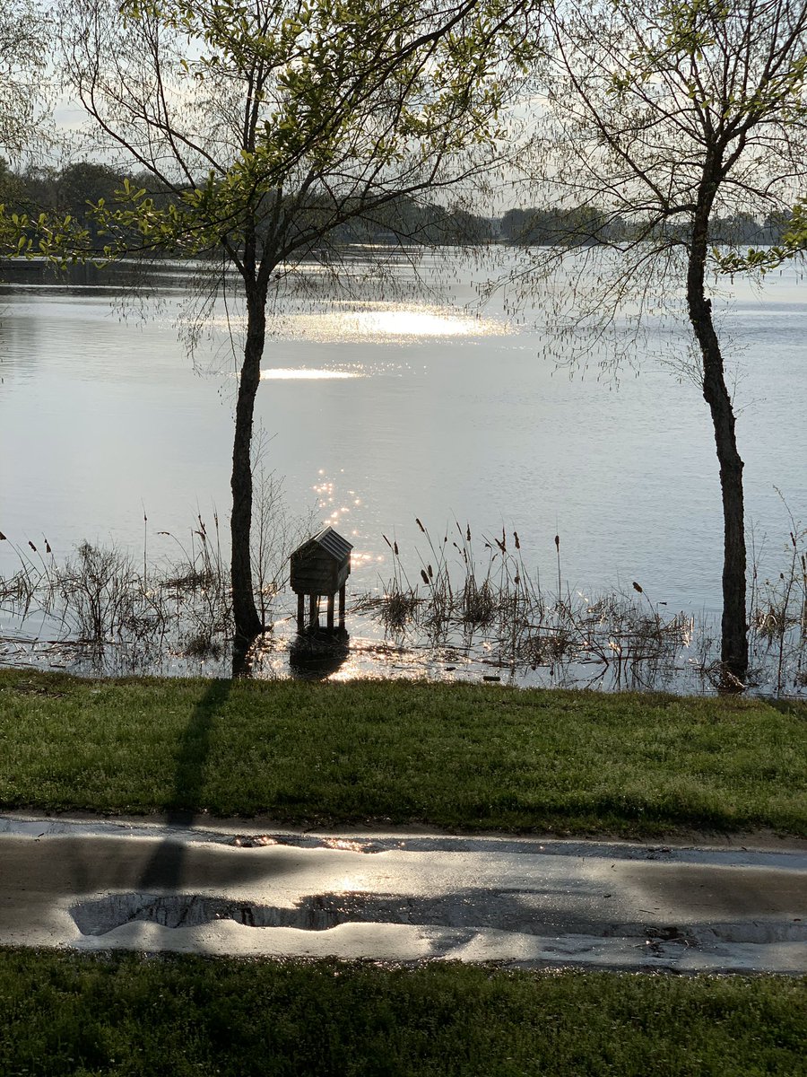 dsstolle's tweet photo. A little peacefulness in troubling times... https://t.co/5jLxqtjm4l