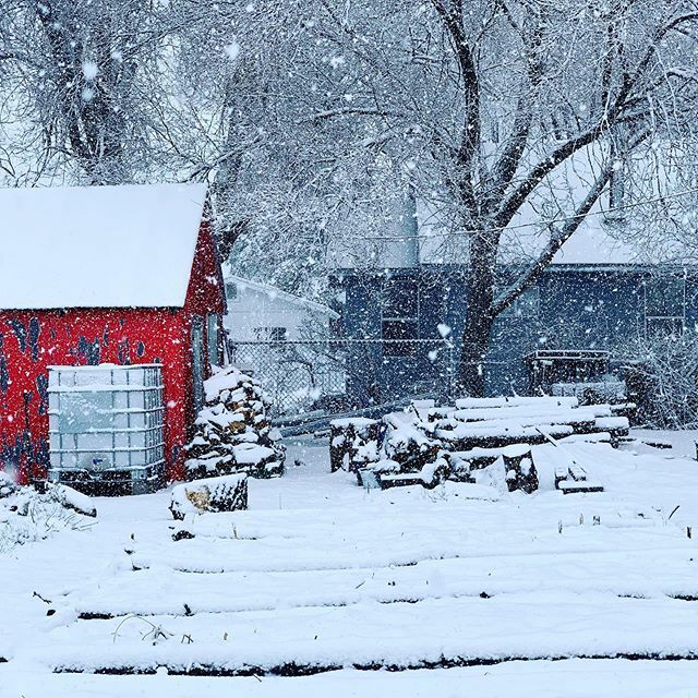 oakswagen's tweet photo. It’s snowing and it’s all starting to sink in. https://t.co/V9c3iF7INn https://t.co/CMO2wr4Vwe