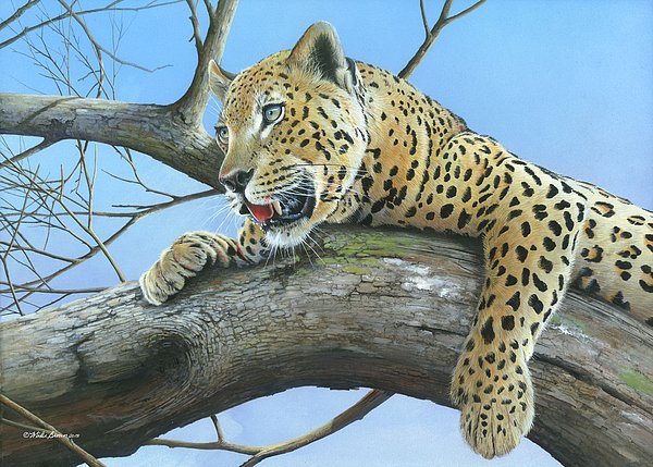 MikeBrownStudio tweet picture