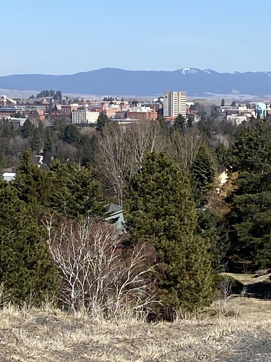 JaimeNolan13's tweet photo. After two full days of Zooming in, I Zoomed out for a walk! #SelfCare #SocialDistancing but loving nature. #BeautifulPalouse #ThisIsWhereILive #ILovePullman #GoCougs https://t.co/uvLazOYHEg