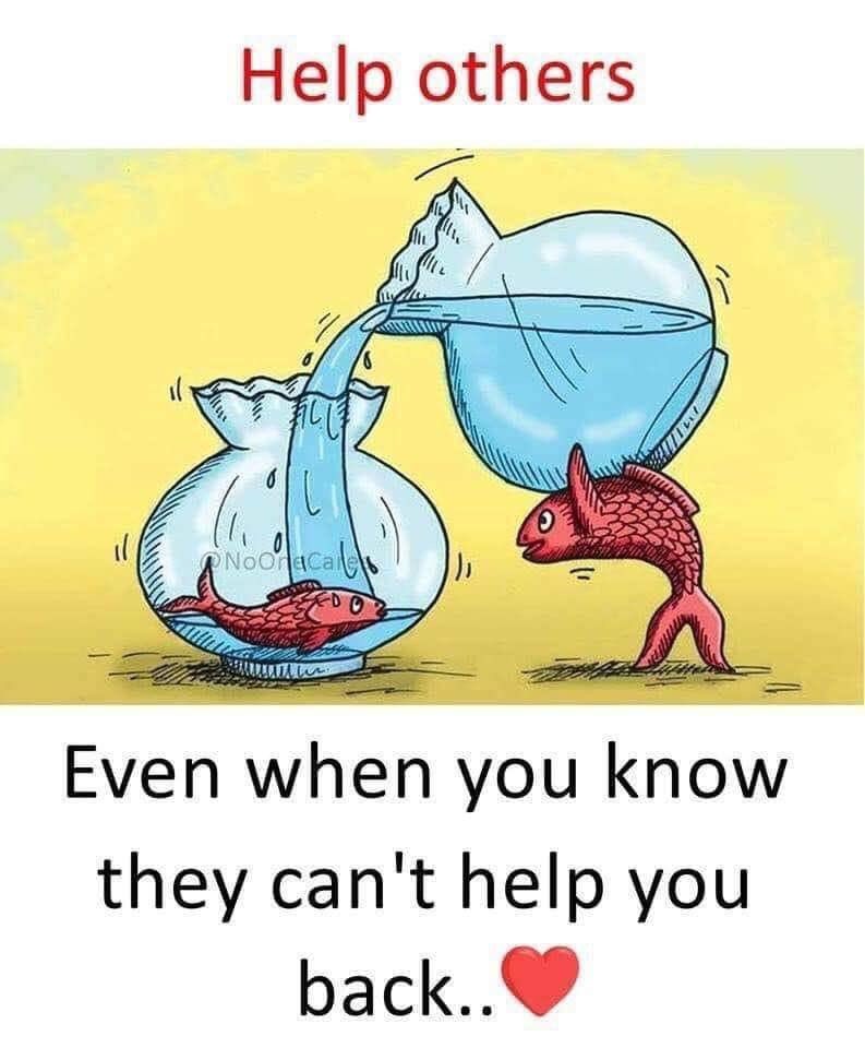 wcg_solutions's tweet image. Isn’t this what nonprofits do each day? We need to support organizations that protect the vulnerable more now than ever. Don’t forget your favorite charities.