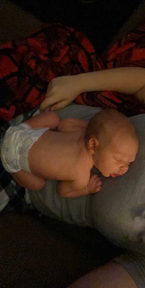 CarrieKieffer's tweet photo. Look at my snoozin baby 🥺 https://t.co/VHiNqrUKBn