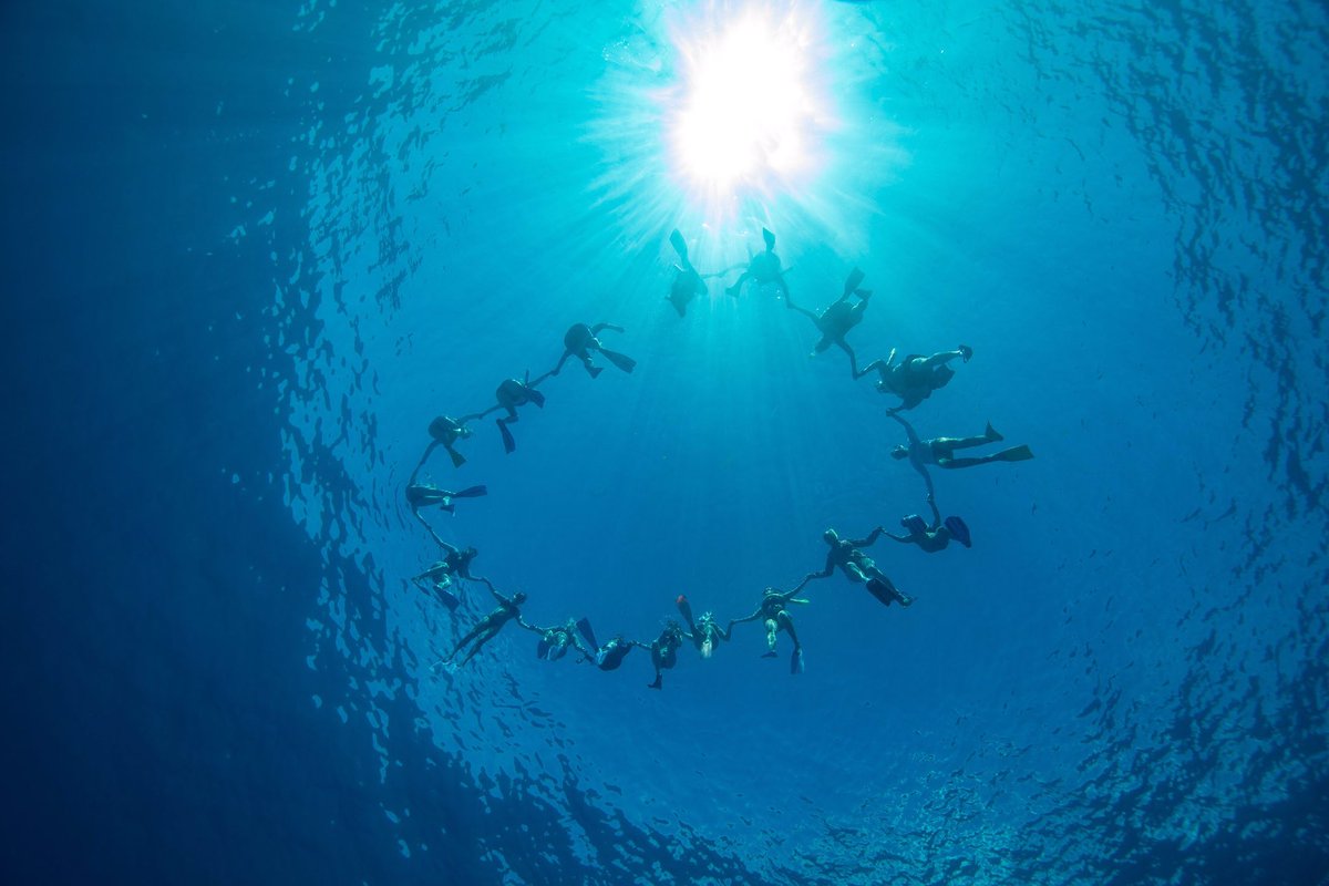 WildQuestBimini's tweet photo. Letβs stay connected πππ weβre all here for each other ππ¬π
Reach out to a friend on the phone, check on a neighbour, offer kindness to those who may be struggling.
We send you love π
#OneWorldOnePod #WeAreAllInThisTogether #WildQuest https://t.co/91lRlIkMLt