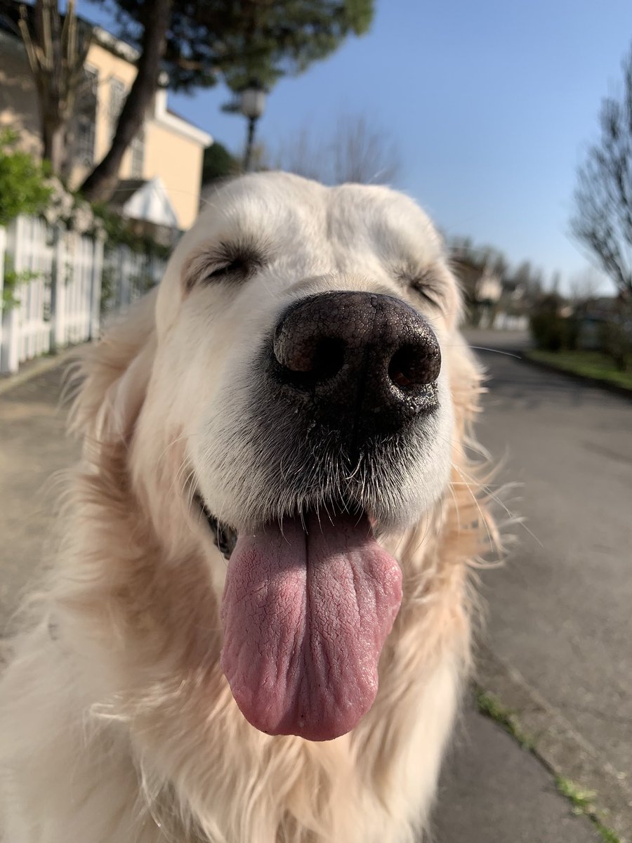 Happy quarantine 🥰