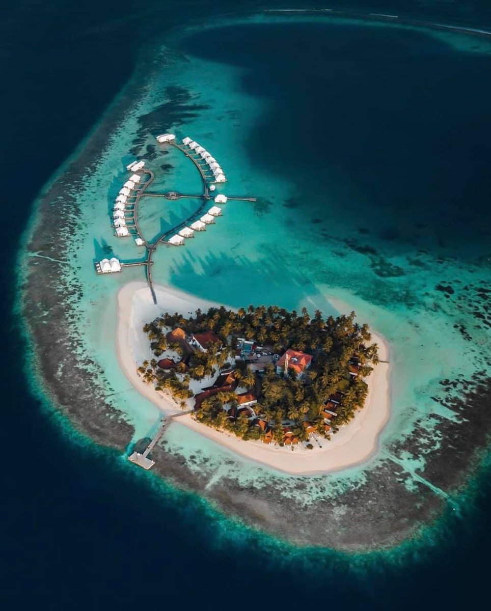 Travelito24's tweet photo. Vacation trip in Maldives 🇲🇻 https://t.co/es8J6F5wh8