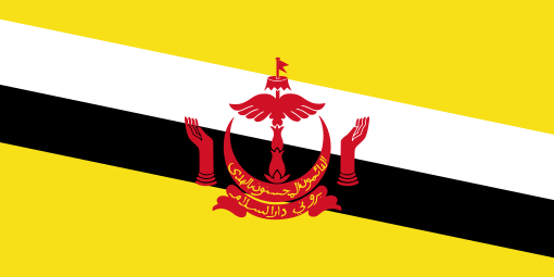 Brunei. 8.5/10. A very interesting flag. Yellow tributes the sultan, the black and white stripe a nod to his chief ministers. The crest was added in 1959. The crescent symbolises Islam, the parasol symbolises monarchy, and the hands symbolise the kindness of the government.