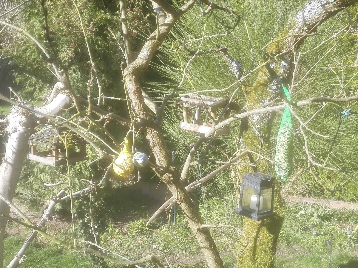 kristallnaach's tweet photo. Ganztägig #Intervallinternet :-(
#vomLiebenNachbarnGesendet https://t.co/ic8iK5dnKx