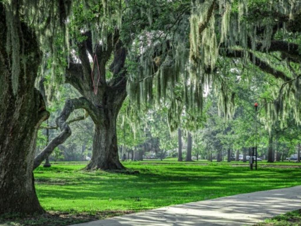 An appreciation for the #nature around you contributes to your well-being... bit.ly/2QtdKEt