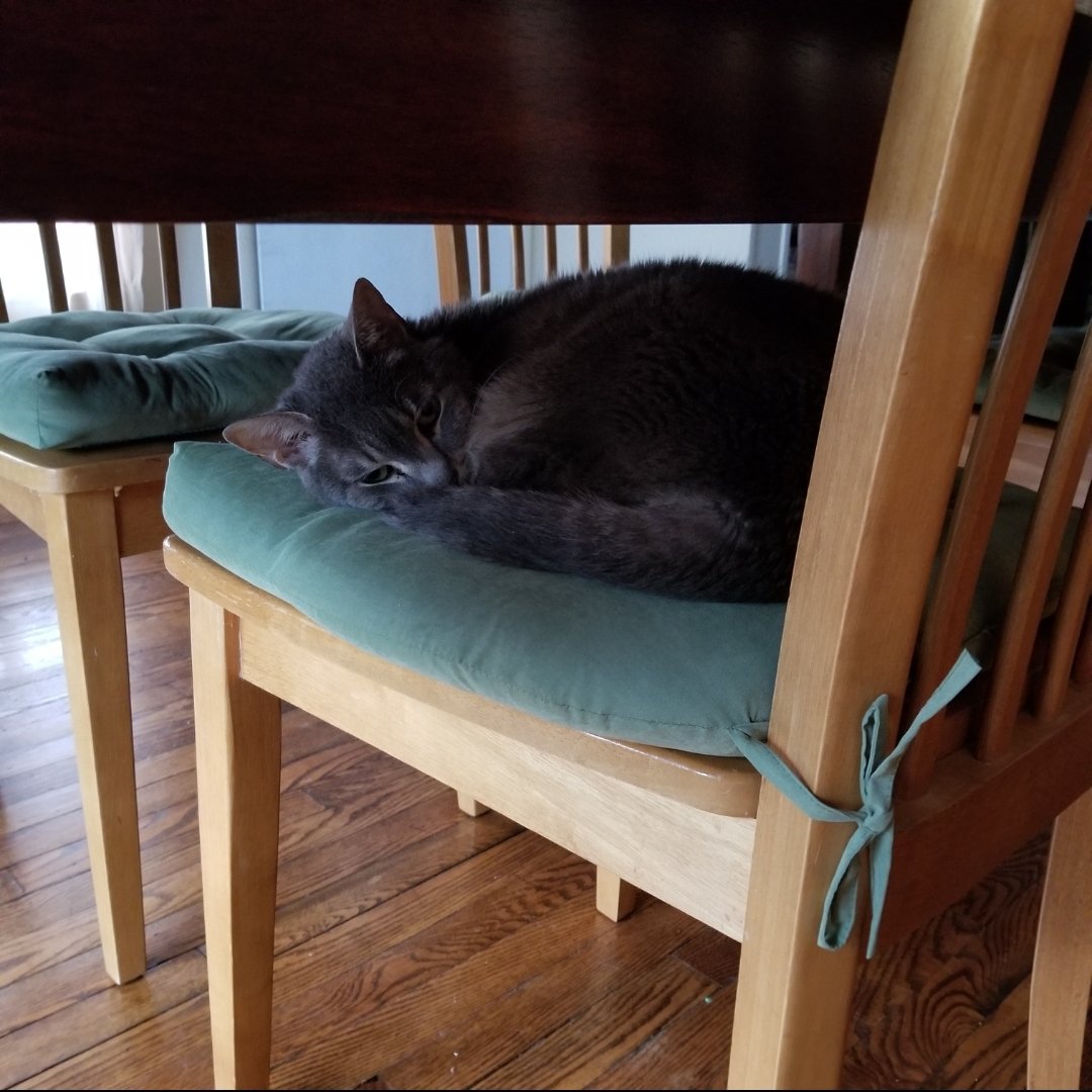 🔺️Peacemaker🔻 tweet media