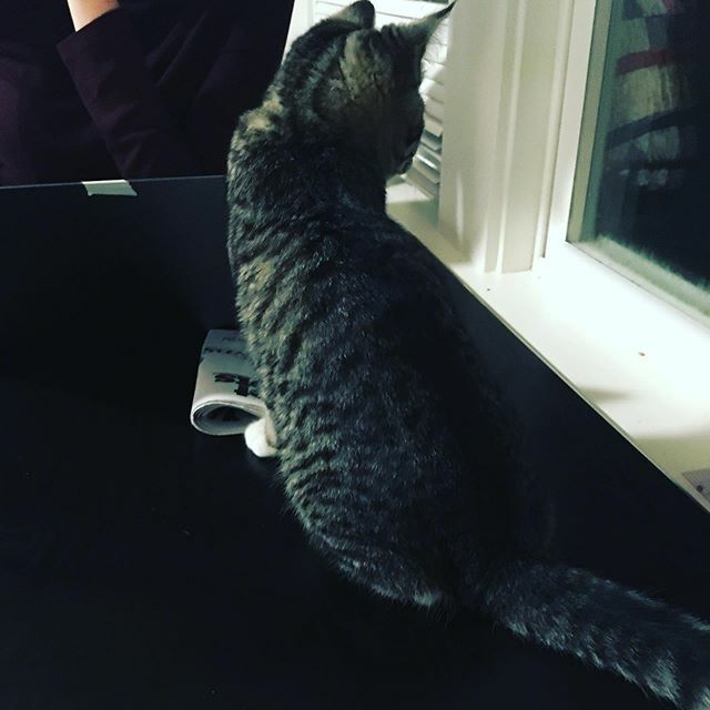 Julio Escarce tweet media