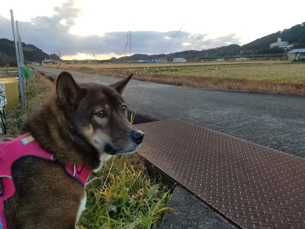 落ち込むこともあるけれど