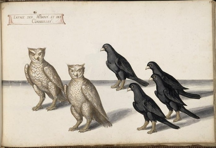 Dive into the extravagant costume of the royal ballet... bit.ly/3d5wiVb #Eccentricity