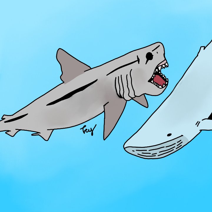 TreyDumbDude's tweet image. Its a megalodon

#sharks #megalodon
#carcharoclesmegalodon #otodus
#prehistory #prehistoric #art #myart #drawings #drawing