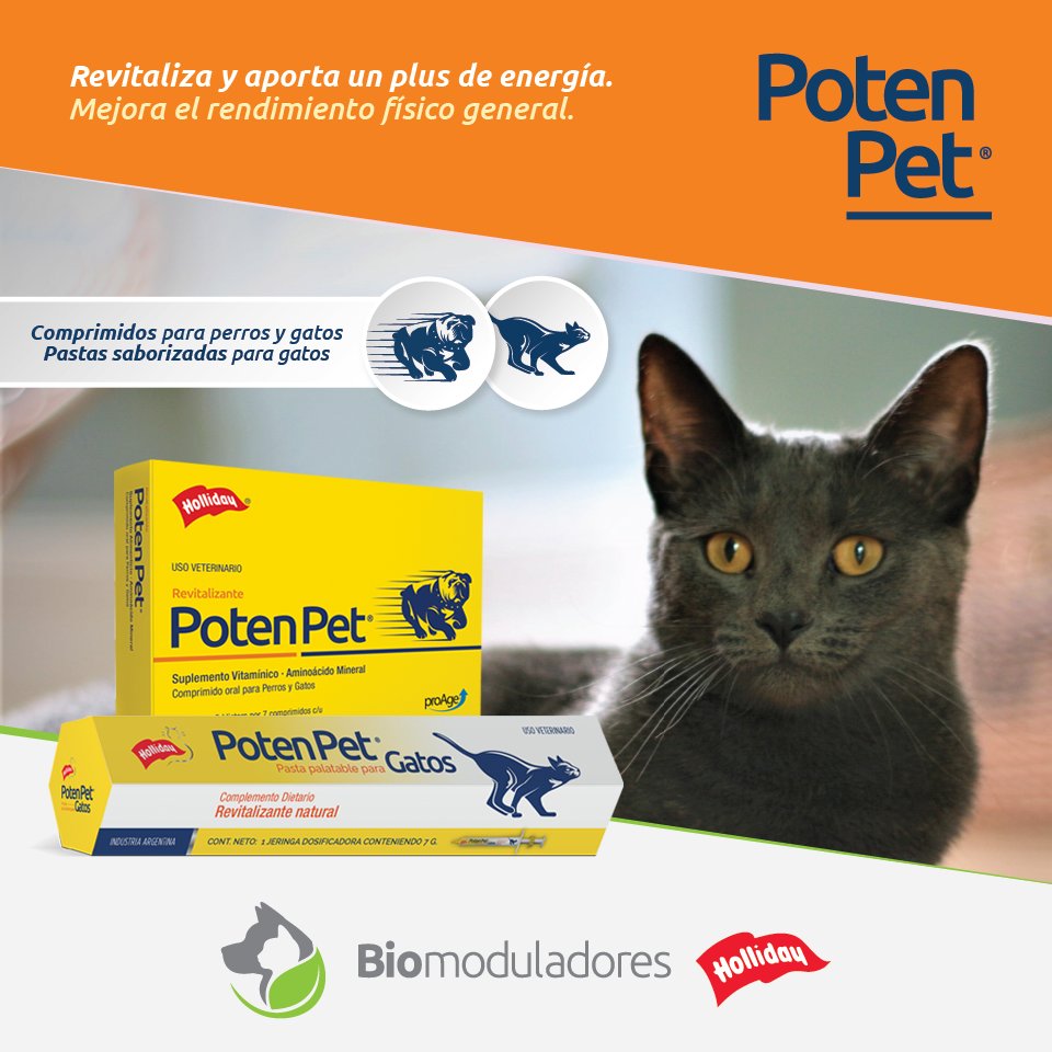 LabHolliday's tweet image. Poten Pet es el suplemento vitamínico y mineral ideal para darle a tu mascota la energía y potencia que necesita.

Más información en holliday-scott.com/AR