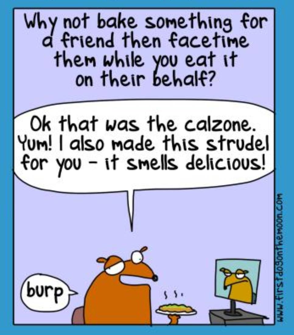 This proper made me snerk, well done  @firstdogonmoon  #Isolation2020  #StayAtHome  