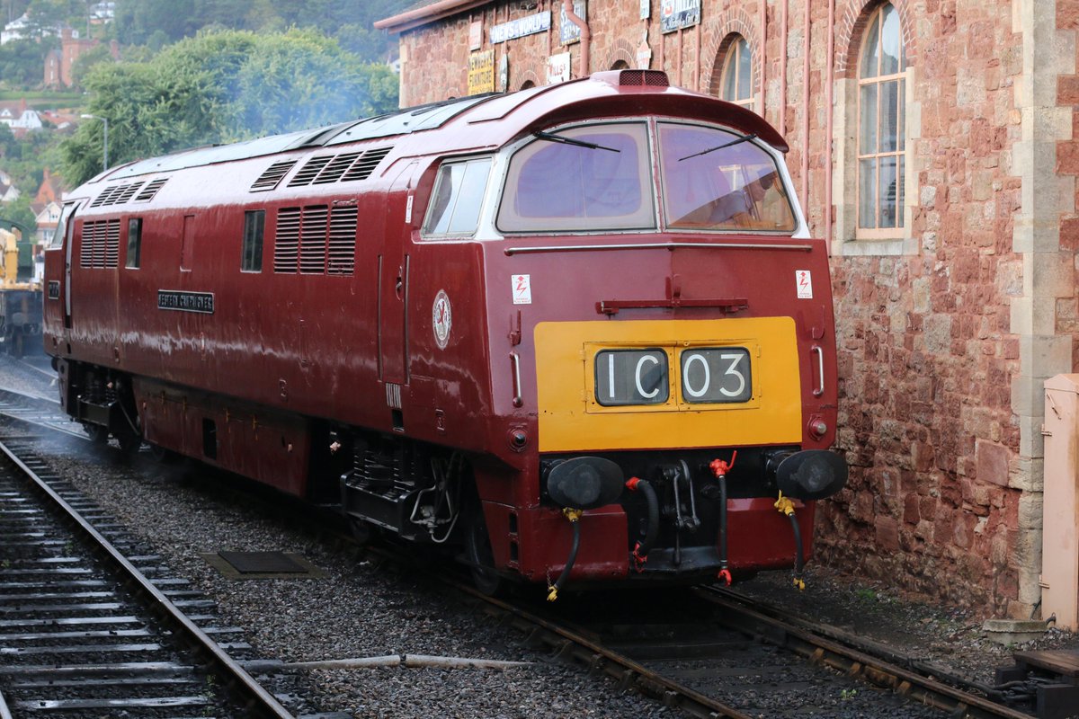 beeranddiesels's tweet image. We've now reached 1010 Followers! An apt time to Tweet this photo of D1010 Western Campaigner at Minehead station on the West Somerset Railway in September 2016! #Western #Class52 #Minehead @WSomRailway @wsrdepg