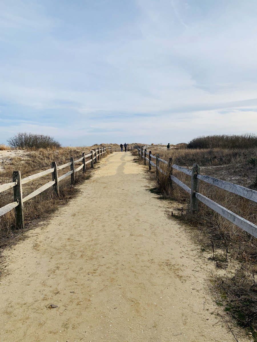 DocStrong26's tweet photo. After “school” today, 3 of the kids and I escaped to the shore for a little while (don’t worry, we took the van and set apart from each other!) Big moment? We saw a seal! #wemaintainedsocialdistance #temporaryescape #backtohermiting https://t.co/VqGIVmLDT6