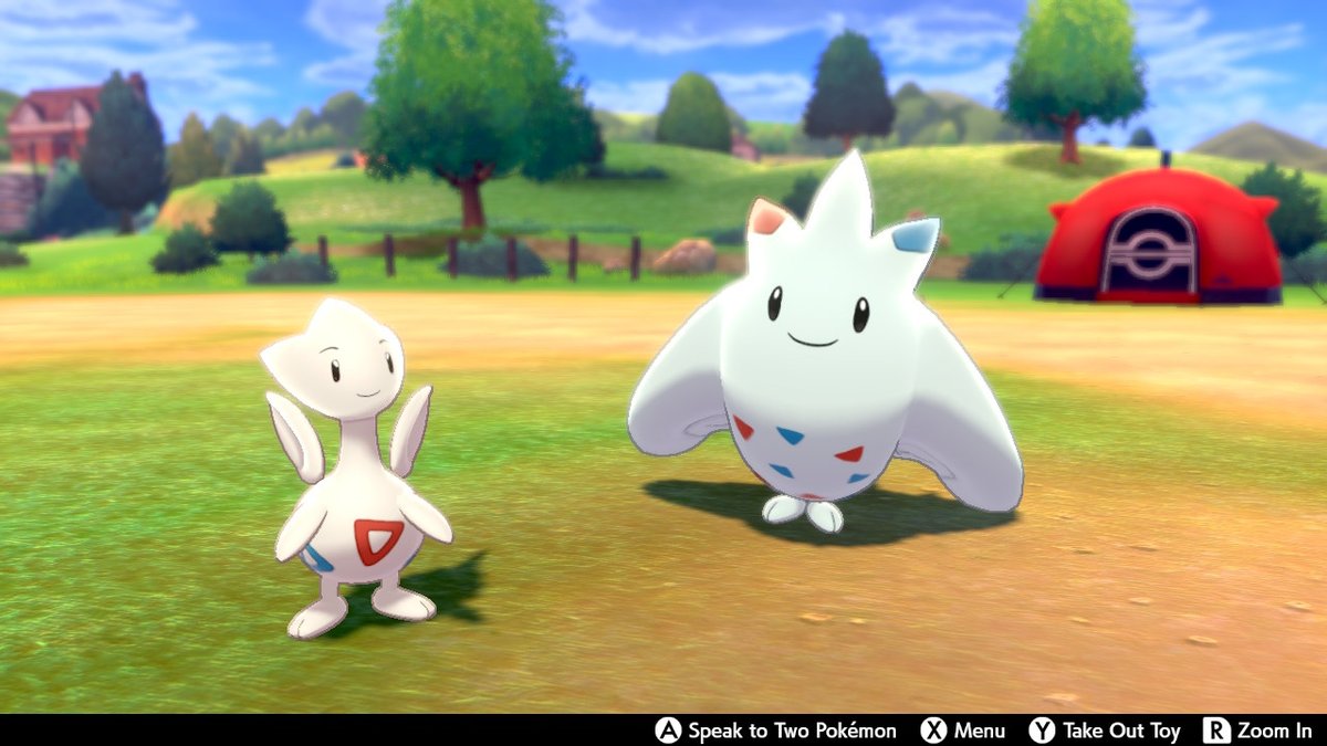 ChiakiChong's tweet photo. #PokemonSwordShield #NintendoSwitch https://t.co/n9RnPLIFHZ