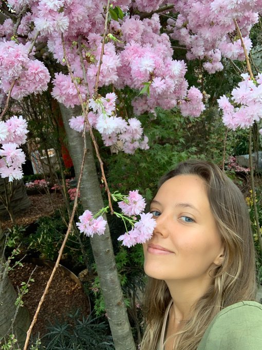 My trip to Japan was cancelled due to the virus, but I found Sakura in Singapore 😍 https://t.co/1PDO