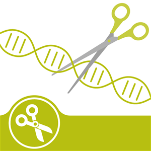 gene_cell's tweet photo. #CRISPR #RNA-targeted #genetic screen could be used for #COVID19 therapy .
#Globalize your #Research at #Cell #gene #therapy 2020 #Paris #June 22-23, 2020.

Contact : genetherapy@europemeet.com

For more details, visit: https://t.co/JWMQj3aGXU https://t.co/tYo3H7MUgs
