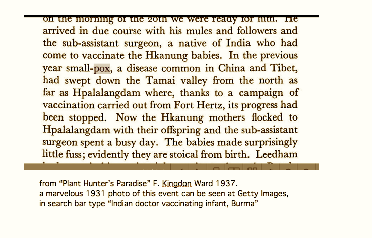 2. Thado Minbya young King/Founder of Ava died in smallpox epidemic circa 1367. Arakan used variola smallpox inoculation, captives of 1785 Burmese invasion brought practice to Burma. British colonial smallpox vaccination campaigns limited until 1920s. Certified eradicated 1977.