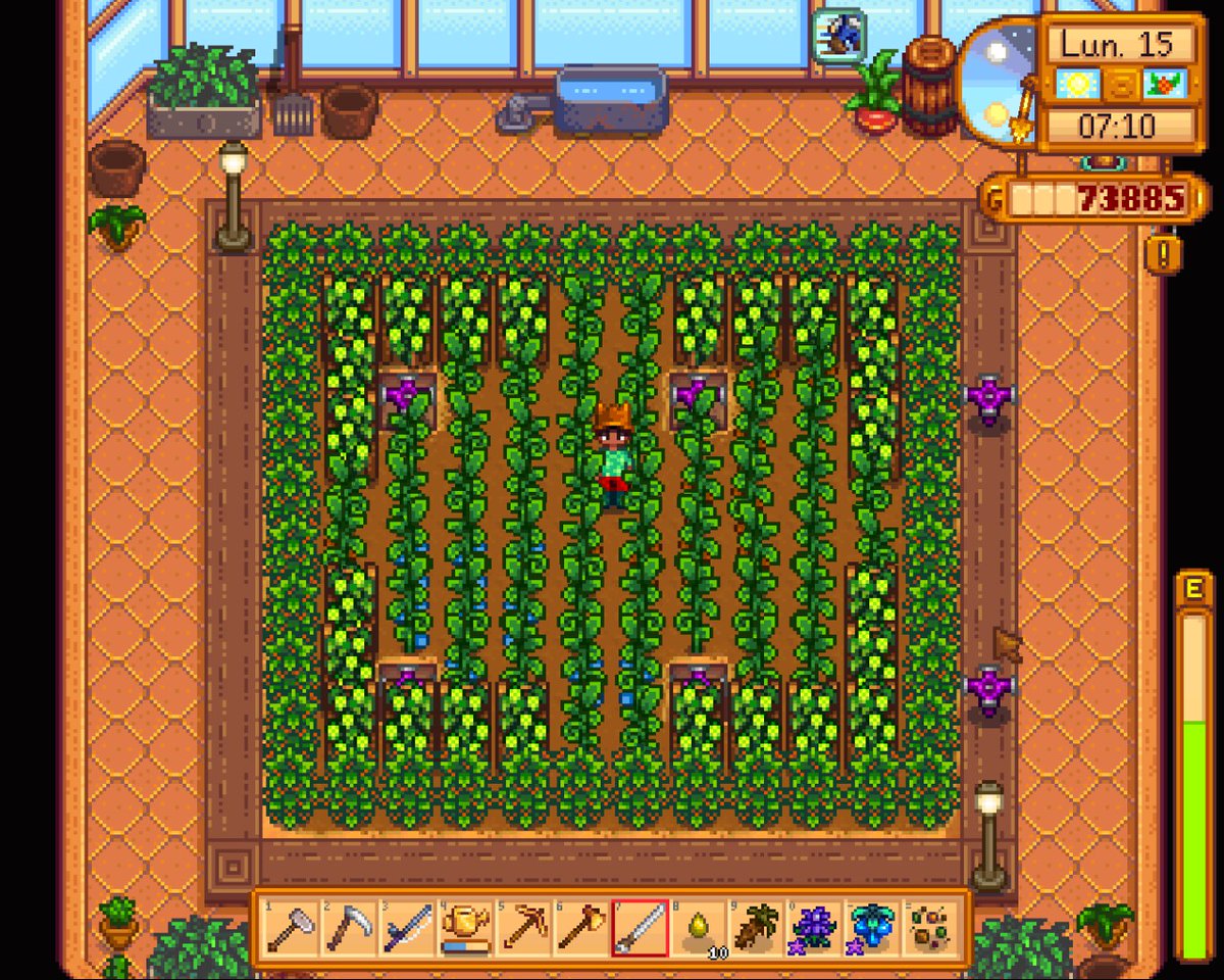 blimo86's tweet photo. #StardewValley  invernadero óptimo.😉 https://t.co/OsiivxfVgU