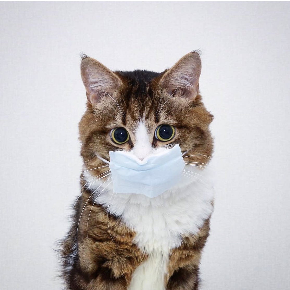 FXTVT's tweet image. SPREAD affection.
STOP infection. 

Please remember to 
#StayAtHome 
#DudukRumah and respect 
#RestrictedMovementOrderMY 

#KitaJagaKita
📷 rexiecat