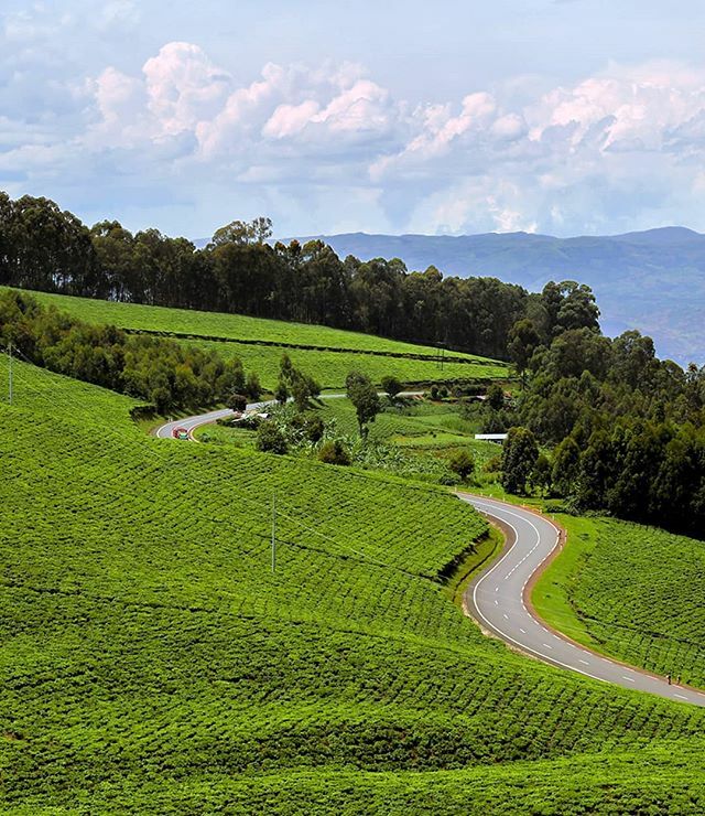 Rwandalicious (@rwandalicious) on Twitter photo 