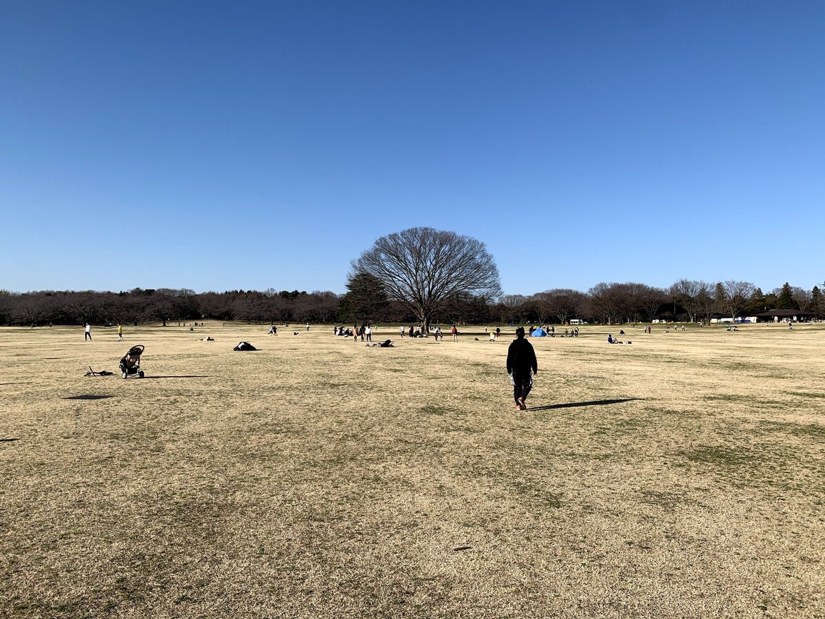 昭和記念公園、資料写真撮りに行ってきた。
広すぎる!!
しかも平日の真昼間なのに意外と人いて、楽しそうに遊んでる人たちを横目にチャリで一人でまわるのちょっとさみしかったわ。。