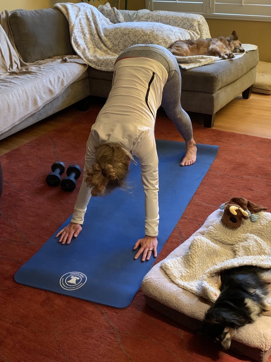 Lovin’ my USD yoga mat! Pups are helping me feel less isolated these days along with Team Minions ❤️on Zoom 🤙🏼! ⁦@USD_SUP⁩ ⁦@MrsSilvaUMS⁩ ⁦@Miss_Sutt0n⁩ #USDlearns #teamUMS