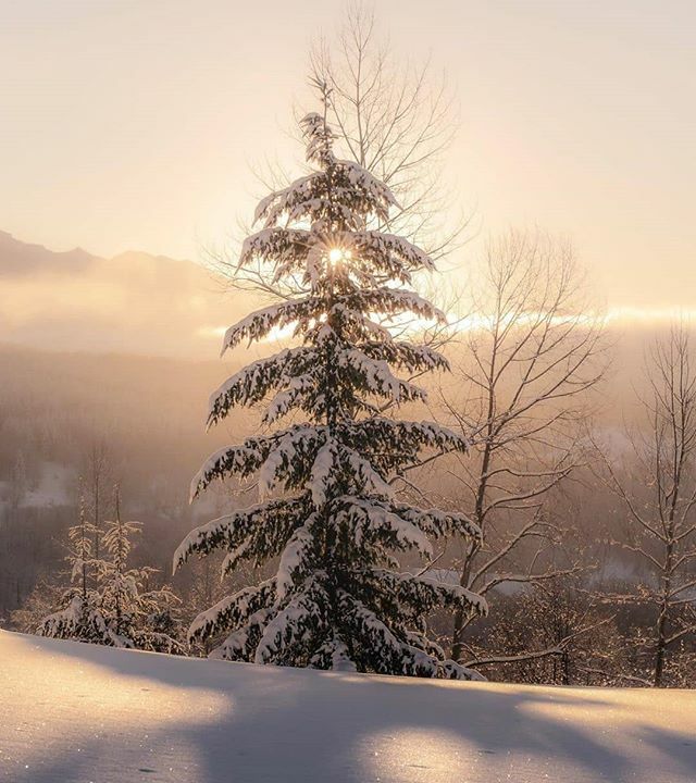 ExploredCo tweet media