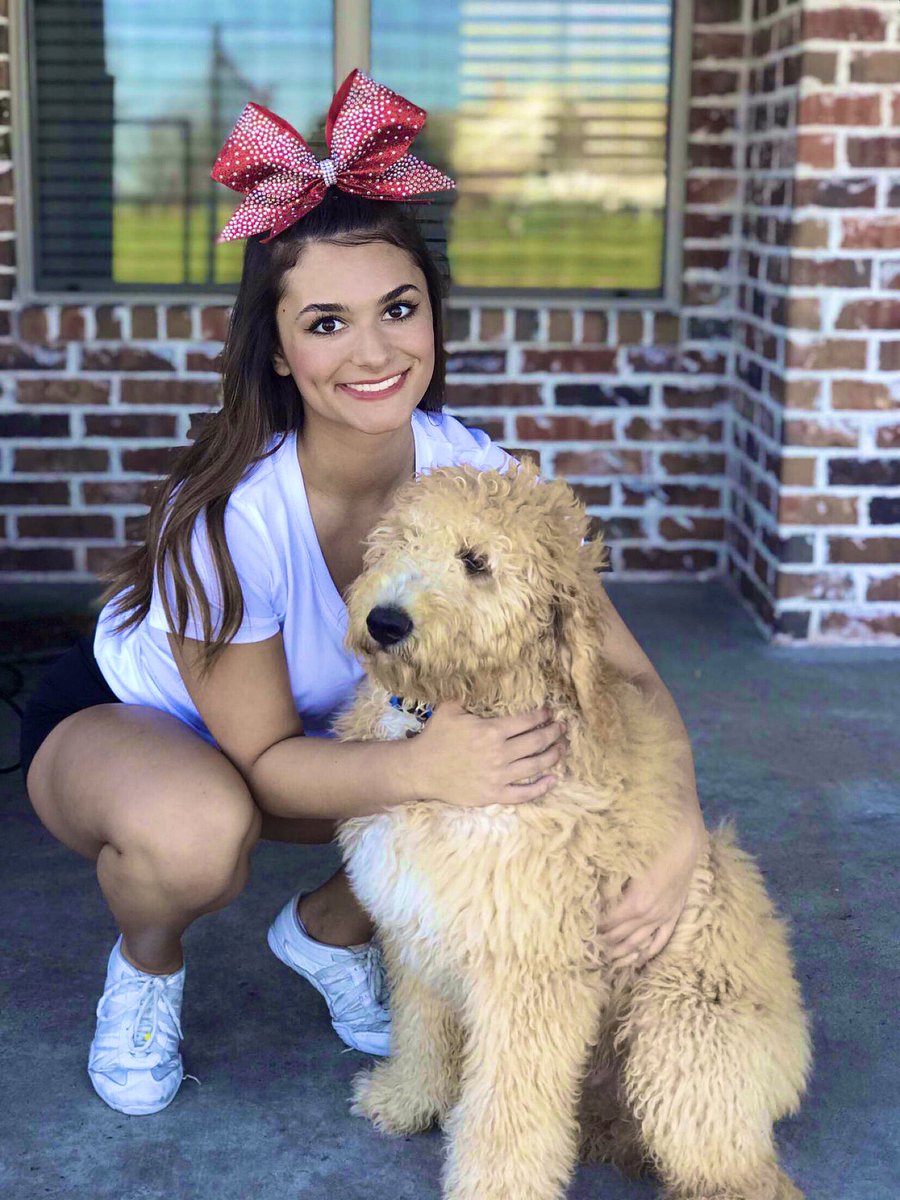 averylain22's tweet image. 🎀✨